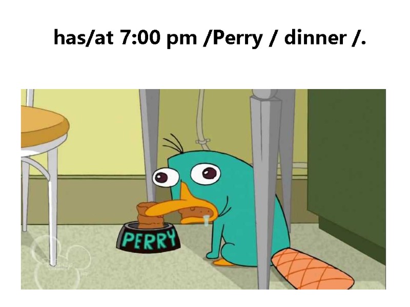 has/at 7:00 pm /Perry / dinner /.